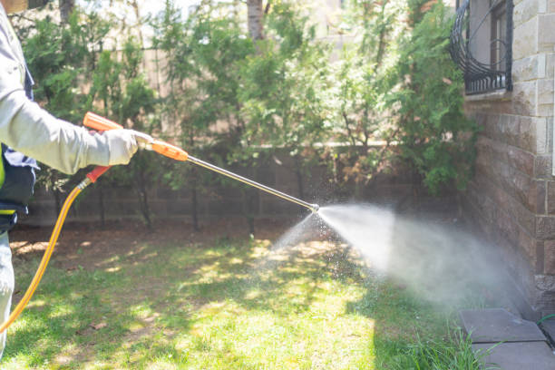 Best Rodent Control (Mice, Rats)  in Goodland, IN